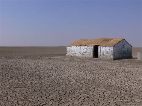 The Little Rann of Kutch | Jane Jolly