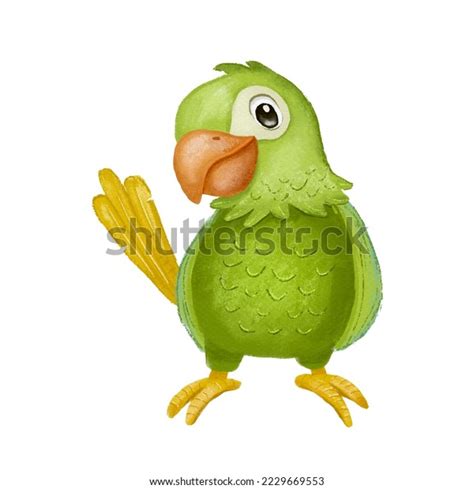 Green Parrot Bird Hand Drawn Cartoon Stock Illustration 2229669553 | Shutterstock