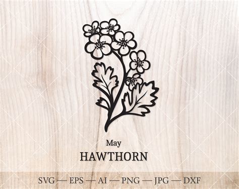 Details 51+ hawthorn flower tattoo best - in.cdgdbentre