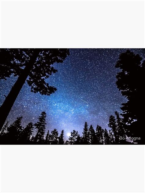 "Forest Star Gazing An Astronomy Delight" Poster for Sale by mrbo | Redbubble