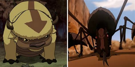 Avatar: The Last Airbender: 5 Animals We Wish Existed (& 5 We're Happy Don't)