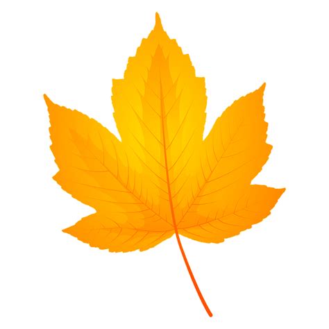 Field maple autumn leaf clipart. Free download transparent .PNG | Creazilla