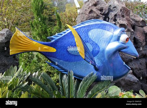 Dory finding nemo hi-res stock photography and images - Alamy