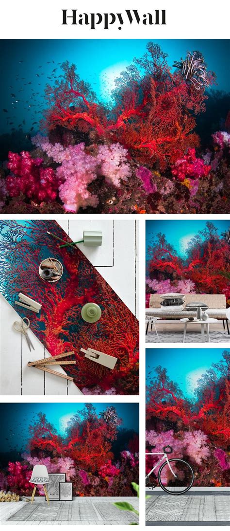 Colourful coral reef Wallpaper | Wall murals, Coral reef, Wallpaper