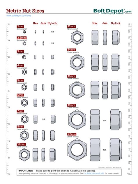 Nut Size Chart: 10 Essential Sizes To Know