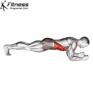 Plank » Workout Routine Created By Gökhan Ozguner