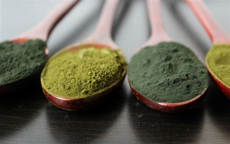 What To Look For In A Superfood Powder - FreshCap Mushrooms