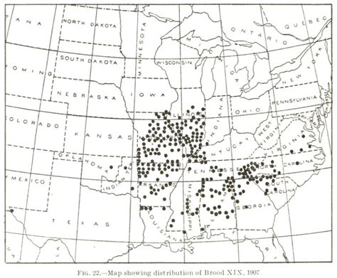 Brood XIX (19) Periodical Cicadas have emerged in 2024 in Fifteen States | Cicada Mania