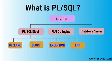 What is PL/SQL? | Comprehensive Guide to PL/SQL with Advantages