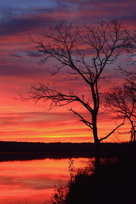 Sunset Silhouette Photograph by Forest Floor Photography - Fine Art America