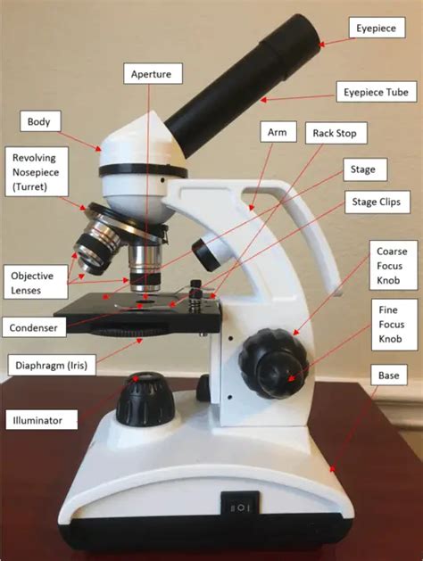 Parts of a microscope and function - houseofnaa