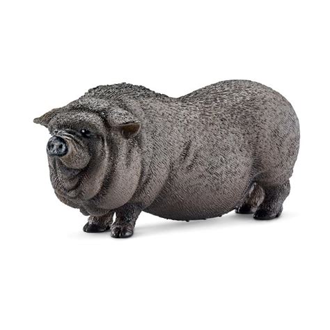 Amazon.com: Schleich Pot-Bellied Pig Toy Figure: Schleich: Toys & Games