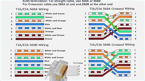 Get Cat 6 Cable Connection Diagram Pictures – Pets House