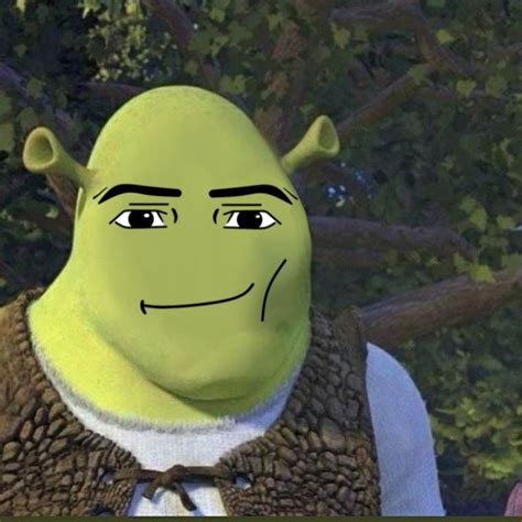 Sherk + roblox man face 😮‍💨 | Shrek funny, Roblox funny, Male face