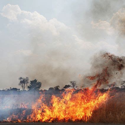 5 Grass Fire Prevention Tips for Your Farm - Nationwide