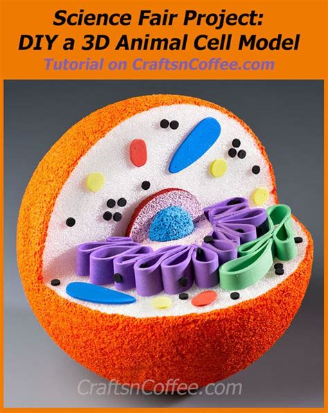 10 Awesome Ways to Make a Cell Model More 3d Animal Cell Model, 3d Cell Model, 3d Animal Cell ...