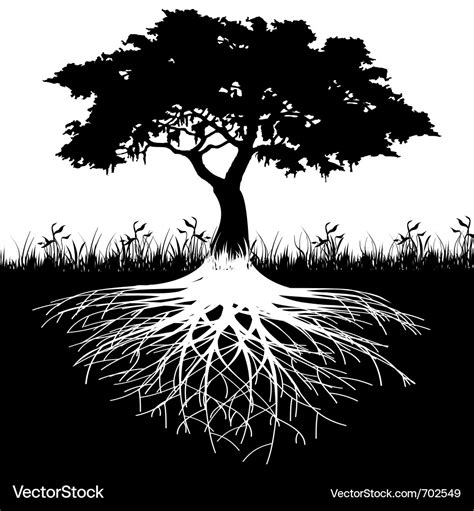 Tree roots silhouette Royalty Free Vector Image