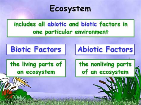 Ecosystems, biotic and abiotic factors