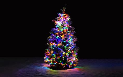 HD wallpaper: Christmas Tree, snow, colorful | Wallpaper Flare