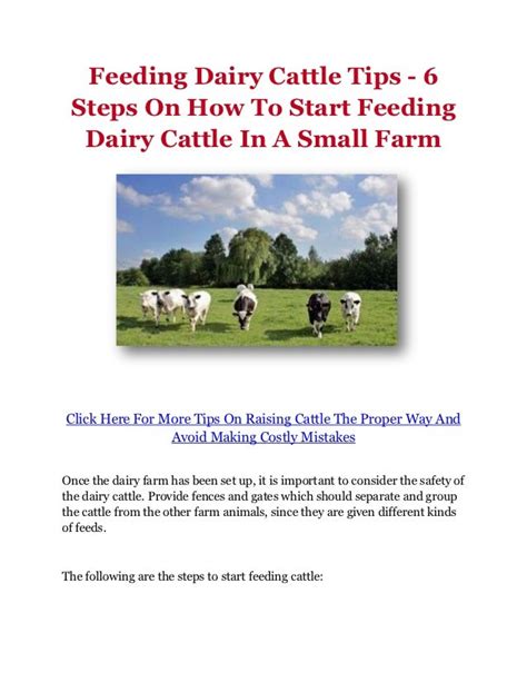 Feeding Dairy Cattle Tips - 6 Steps On How To Start Feeding Dairy ...