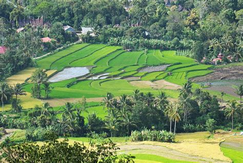 Minangkabau Country | Treasuresfromtheroad.com