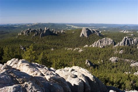 Black Hills Camping: 11 Campgrounds in This Unique South Dakota Forest