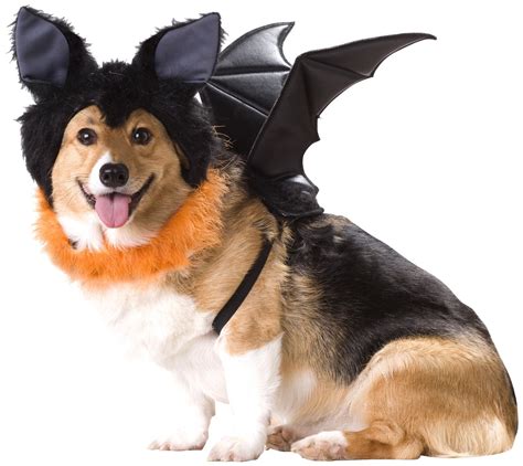 20 Absolutely Amazing Dog Halloween Costumes