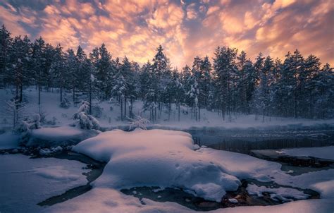 Norway Winter Forest Wallpapers - Wallpaper Cave