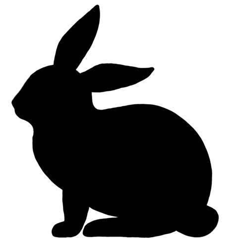 Easter Bunny Rabbit Illustration Vector graphics Image - png download - 869*917 - Free ...