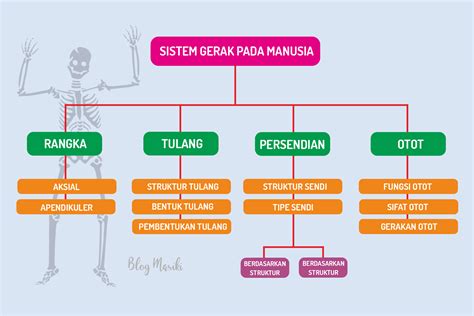 Membuat Peta Konsep Sistem Gerak Pada Manusia Beserta - IMAGESEE