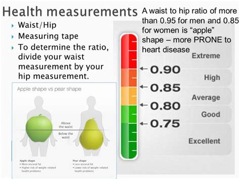 Health Calc: Waist to Hip Ratio