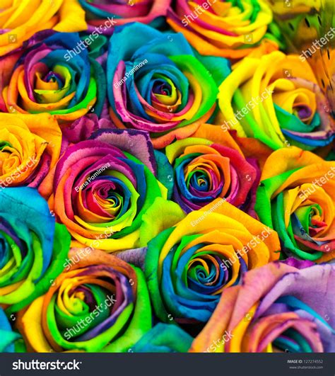 gousicteco: Neon Rainbow Roses Wallpaper Images