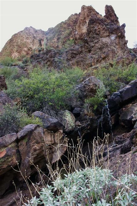 Hiking the Boulder Canyon Trail in Arizona