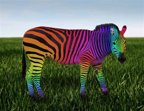 🔥 [50+] Rainbow Zebra Wallpapers | WallpaperSafari