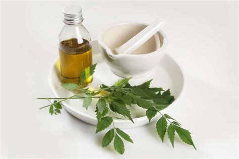 What Are The Benefits Of Neem Oil For Skin?