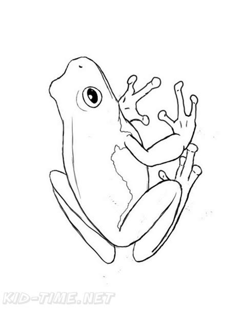 Realistic Tree Frog Coloring Pages