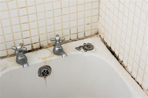 Bathroom dirt and mould on grouting and tiles near taps - Len The Plumber