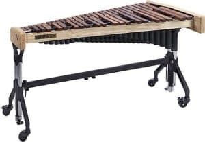 Top 11 Best Xylophone Brands On The Market 2023 – My New Microphone