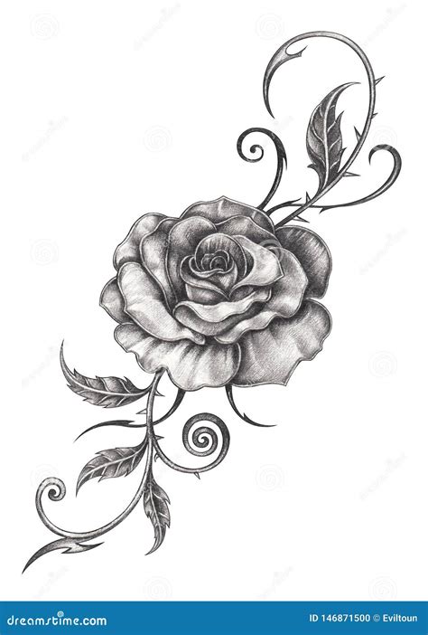 Hand Drawing Rose Tattoo Designs - Goimages All