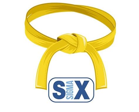 Lean Six Sigma Training: Yellow Belt Exam - Certification Training Course