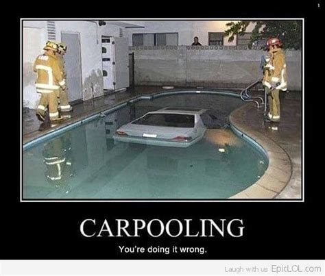 Funny Swimming Pool Memes - In The Swim Pool Blog