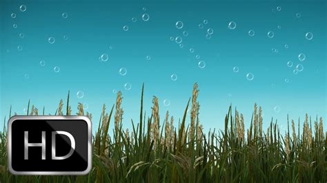 Free Nature Motion Background with Beautiful Bubbles Moving Background Animation! - YouTube