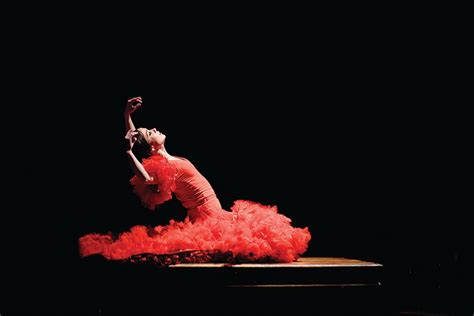 Flamenco Dancer - agrohort.ipb.ac.id