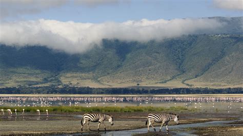 Ngorongoro Crater Lake Tours | Ngorongoro Conservation Area