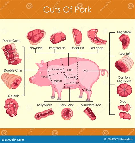 Pork Cuts. Swine Butchery Diagram. Barbecue,. Pork Meat Cuts. Vector Illustration ...