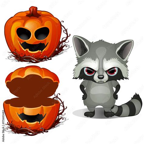 Evil Raccoon Cartoon