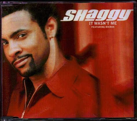 Shaggy It Wasn't Me Records, LPs, Vinyl and CDs - MusicStack