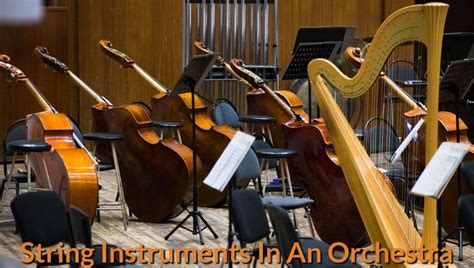 5 String Instruments In An Orchestra - MusicalHow