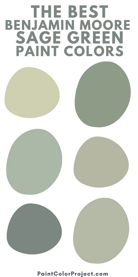 the best benjamin moore sage green paint colors | Sage green paint, Olive green paints, Sage ...