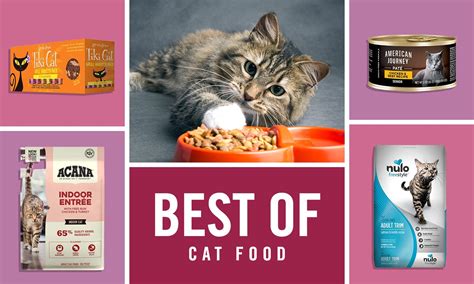 Best Cat Food Brands In 2023 For Wet, Dry, Fresh, Kitten Food, And More | eduaspirant.com